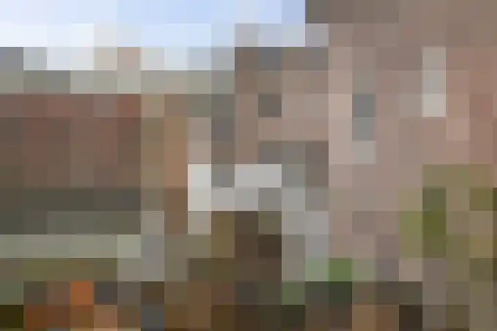 Bruynssteeg 28 B Deventer thumbnail 17