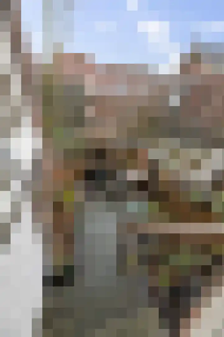 Bruynssteeg 28 B Deventer thumbnail 18