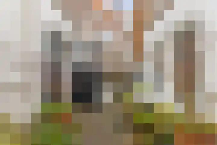 Bruynssteeg 28 B Deventer thumbnail 25