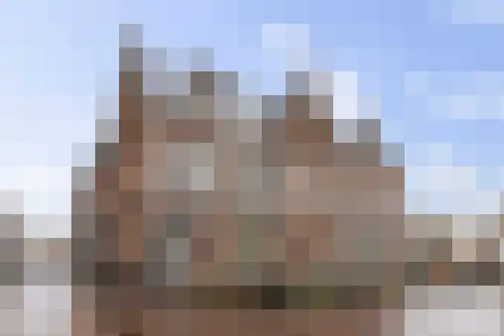 Bruynssteeg 28 B Deventer thumbnail 32
