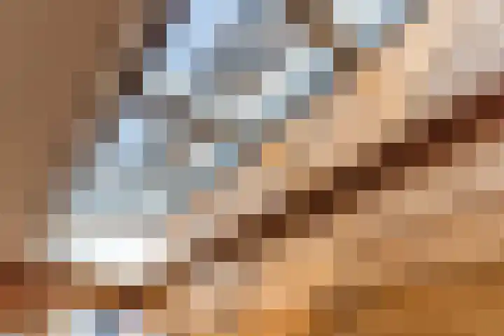 Bucht 37 Bergeijk thumbnail 10