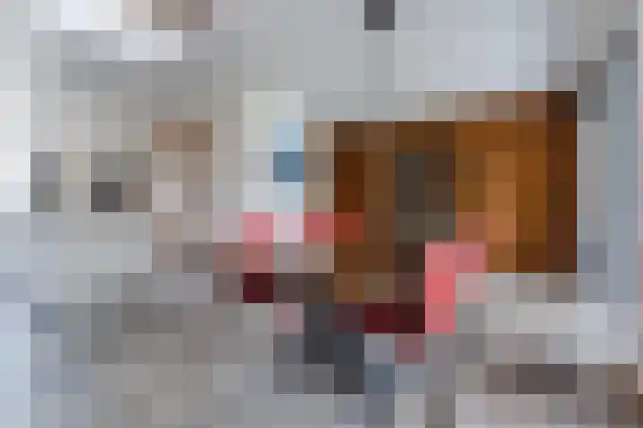 Bucht 37 Bergeijk thumbnail 20
