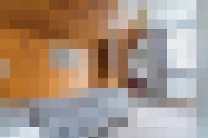 Bucht 37 Bergeijk thumbnail 38