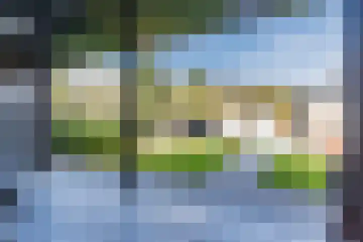 Bucht 37 Bergeijk thumbnail 42