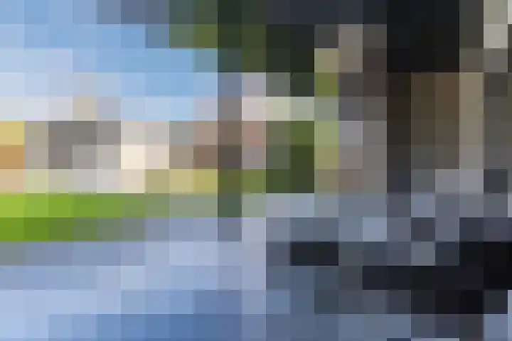 Bucht 37 Bergeijk thumbnail 43
