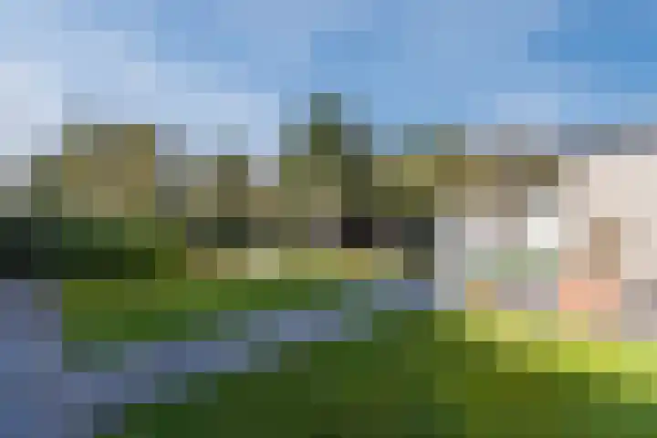 Bucht 37 Bergeijk thumbnail 46
