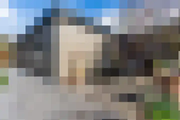 Bucht 37 Bergeijk thumbnail 54