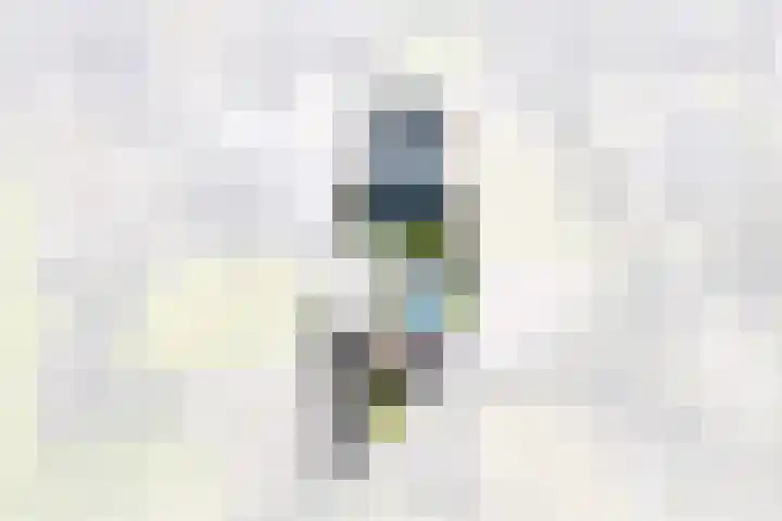 Bucht 37 Bergeijk thumbnail 58