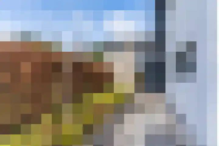 Bucht 37 Bergeijk thumbnail 6
