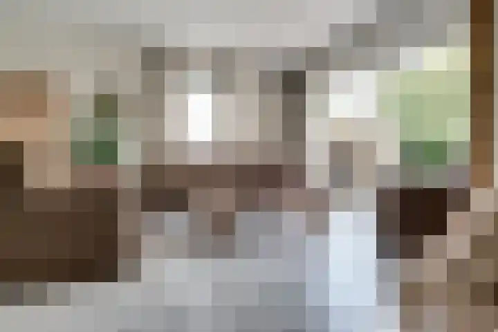 Bugel 5 Zevenaar thumbnail 12