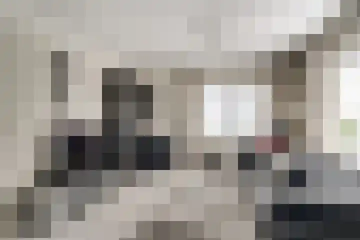 Bugel 5 Zevenaar thumbnail 15