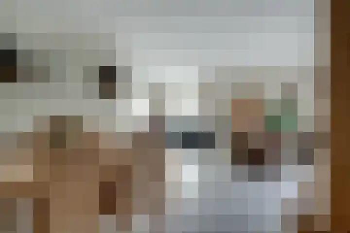 Bugel 5 Zevenaar thumbnail 17