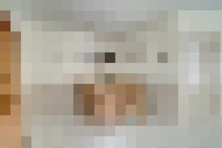 Bugel 5 Zevenaar thumbnail 18