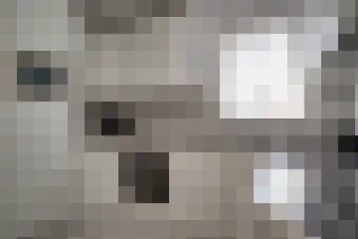 Bugel 5 Zevenaar thumbnail 20