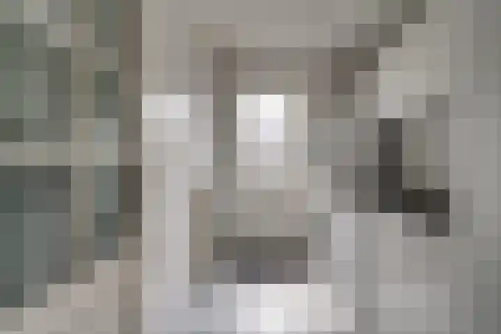 Bugel 5 Zevenaar thumbnail 22