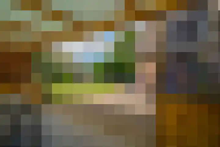 Bugel 5 Zevenaar thumbnail 25
