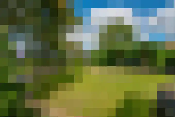 Bugel 5 Zevenaar thumbnail 26