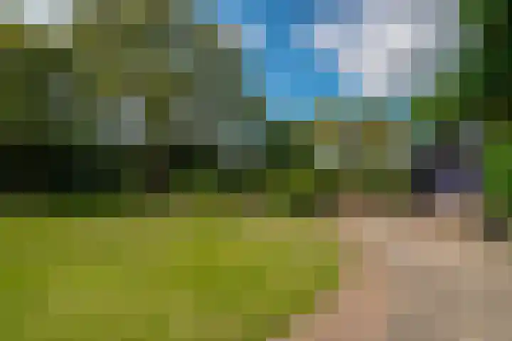 Bugel 5 Zevenaar thumbnail 27