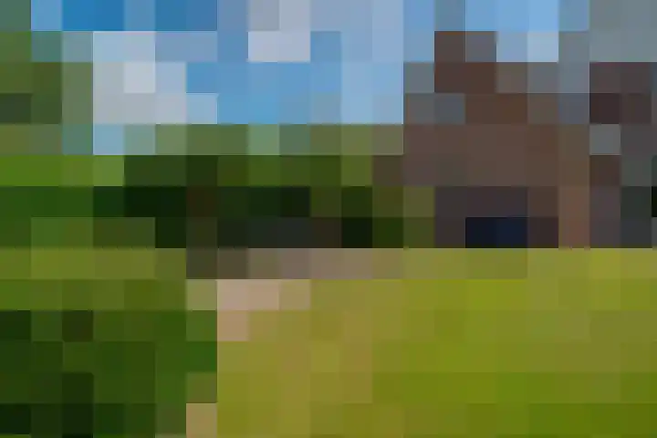 Bugel 5 Zevenaar thumbnail 28