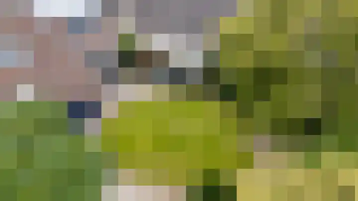 Bugel 5 Zevenaar thumbnail 30