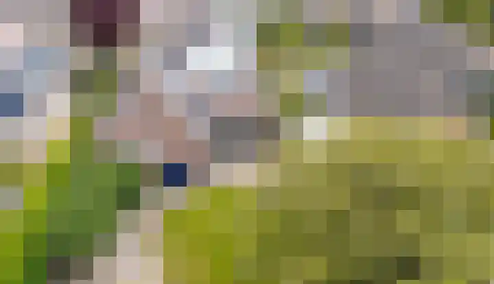 Bugel 5 Zevenaar thumbnail 31