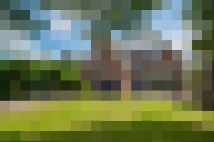Bugel 5 Zevenaar thumbnail 32