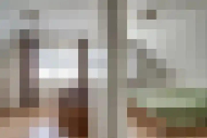 Bugel 5 Zevenaar thumbnail 37