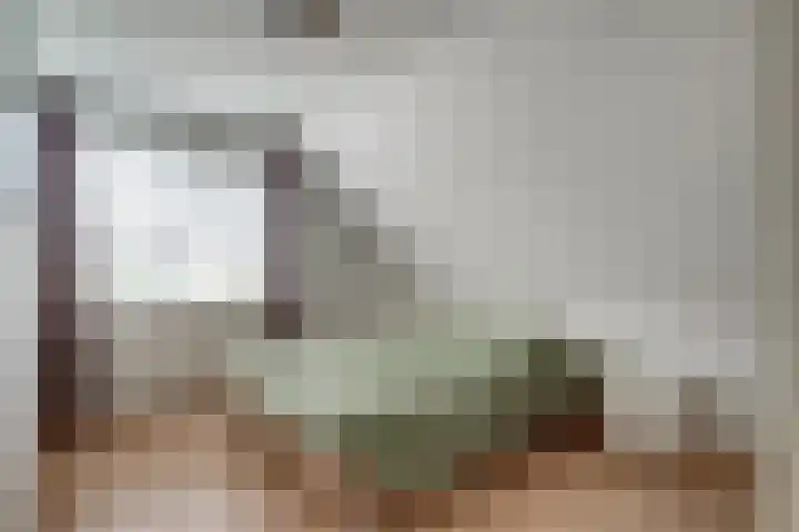 Bugel 5 Zevenaar thumbnail 38
