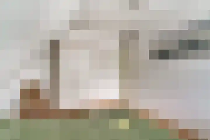 Bugel 5 Zevenaar thumbnail 39