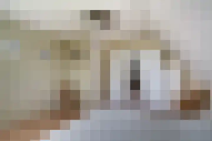 Bugel 5 Zevenaar thumbnail 42