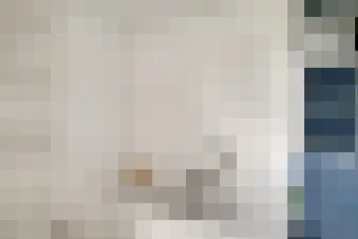 Bugel 5 Zevenaar thumbnail 44