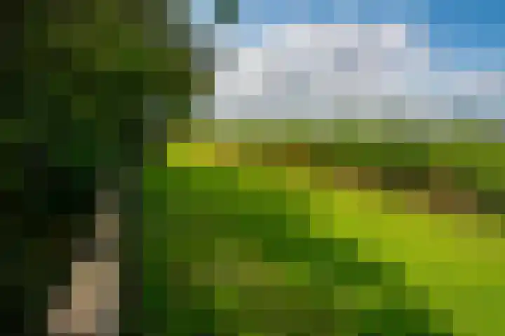 Bugel 5 Zevenaar thumbnail 50