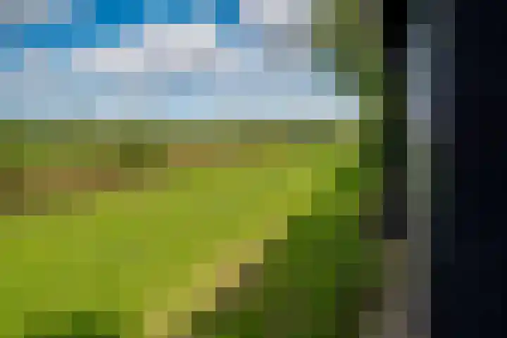 Bugel 5 Zevenaar thumbnail 51