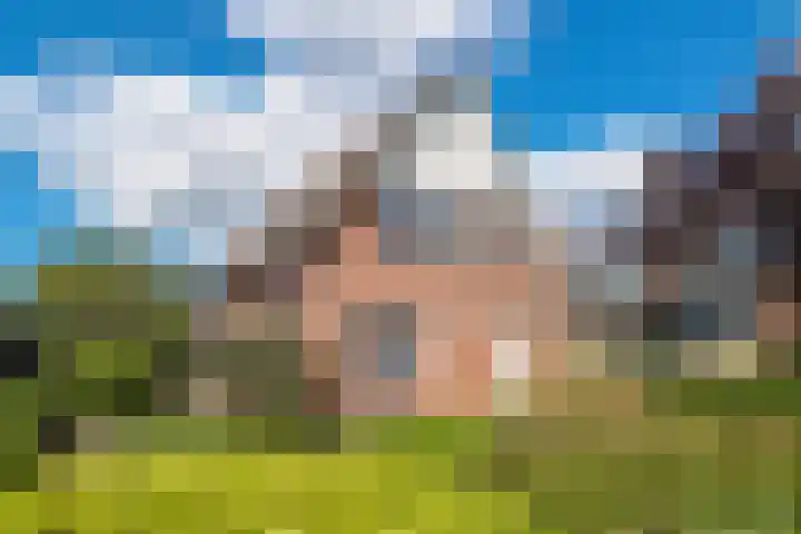 Bugel 5 Zevenaar thumbnail 6