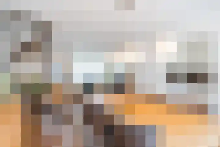 Bugelstraat 2 Helmond foto 3