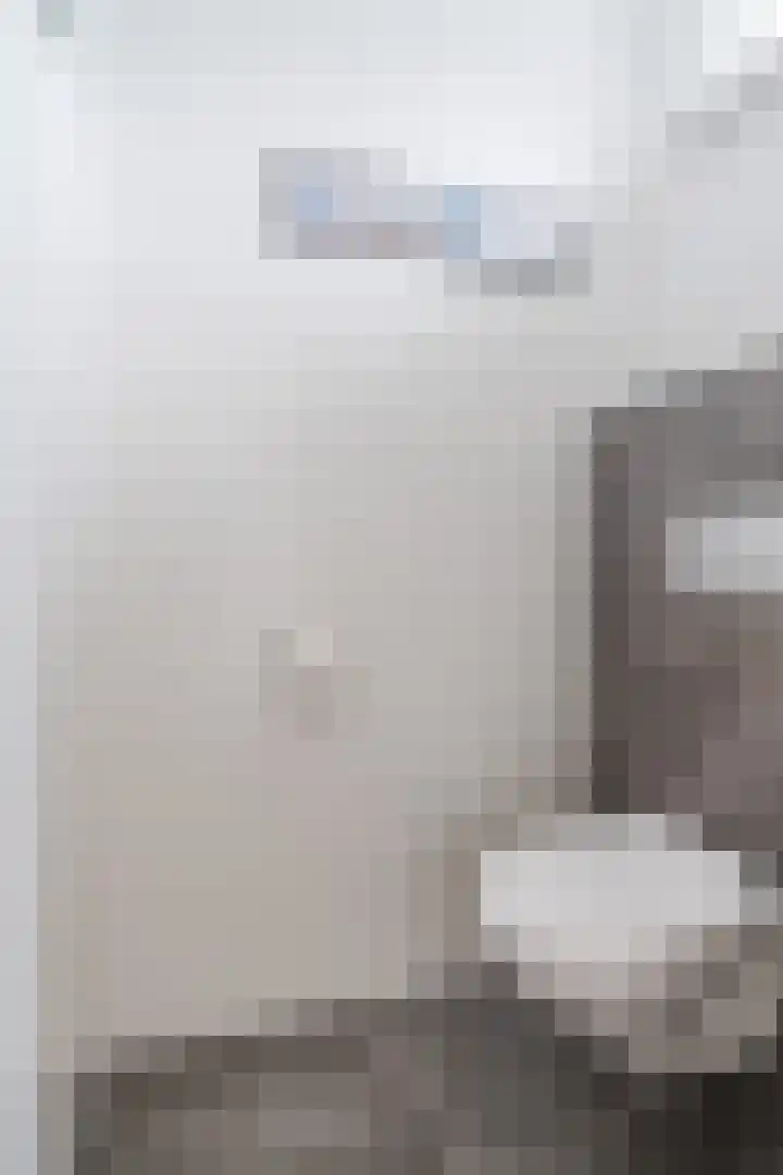 Bugelstraat 2 Helmond thumbnail 8