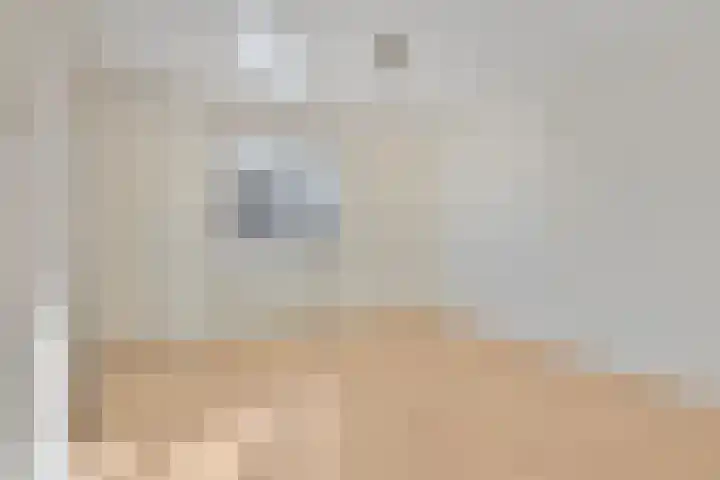 Bugelstraat 36 Uden thumbnail 10