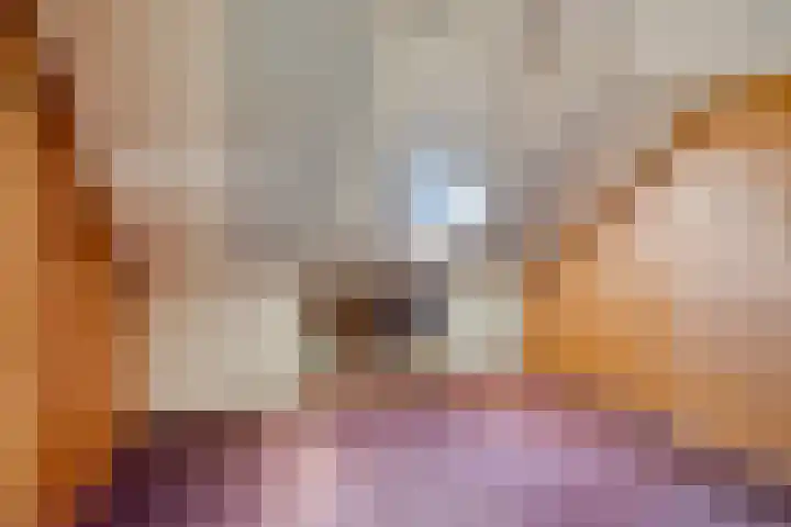 Bugelstraat 36 Uden thumbnail 18