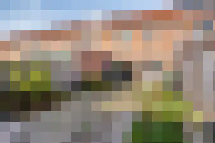 Bugelstraat 36 Uden thumbnail 22