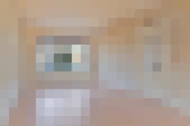 Bugelstraat 36 Uden thumbnail 4