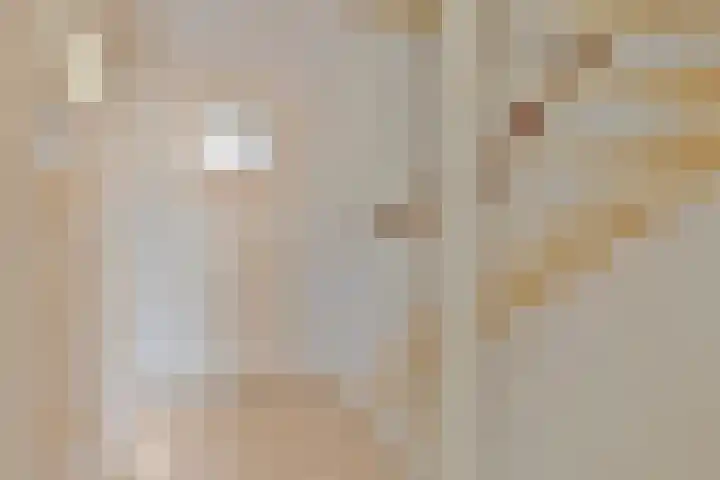 Bugelstraat 36 Uden thumbnail 9