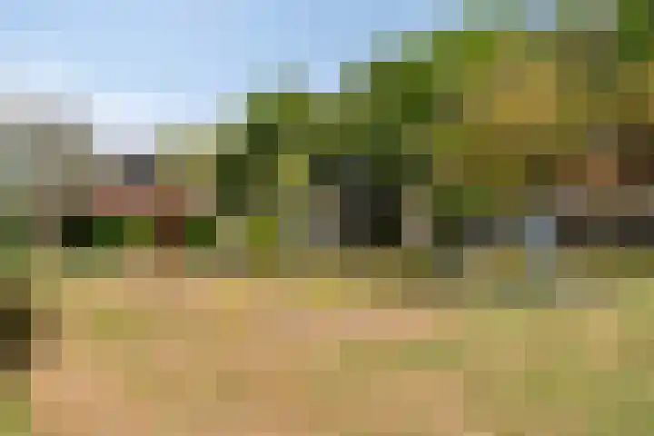 Buigeind 5 Best thumbnail 32