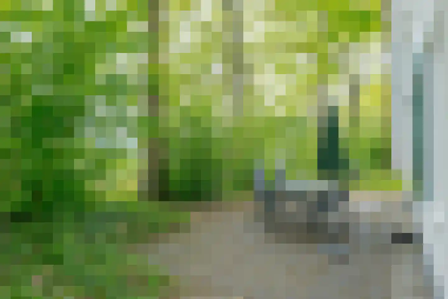 Buinerweg 8 138 Ees thumbnail 13