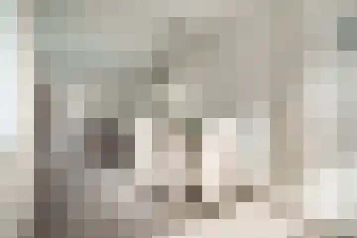 Buinerweg 8 151 Ees thumbnail 17