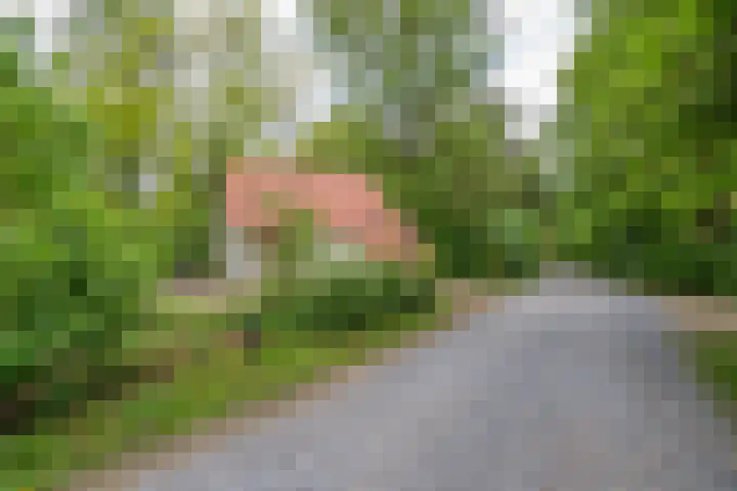 Buinerweg 8 151 Ees thumbnail 19