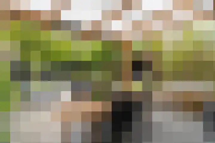 Buinerweg 8 151 Ees thumbnail 20