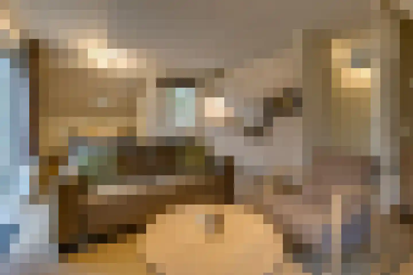 Buinerweg 8 151 Ees thumbnail 5
