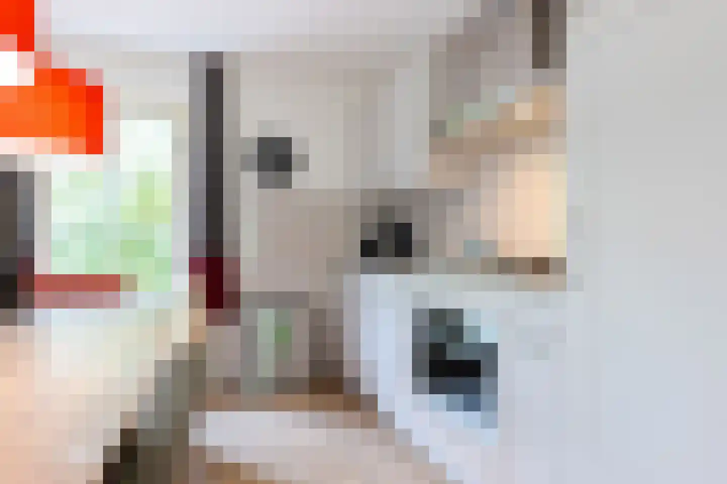 Buinerweg 8 214 Ees thumbnail 20