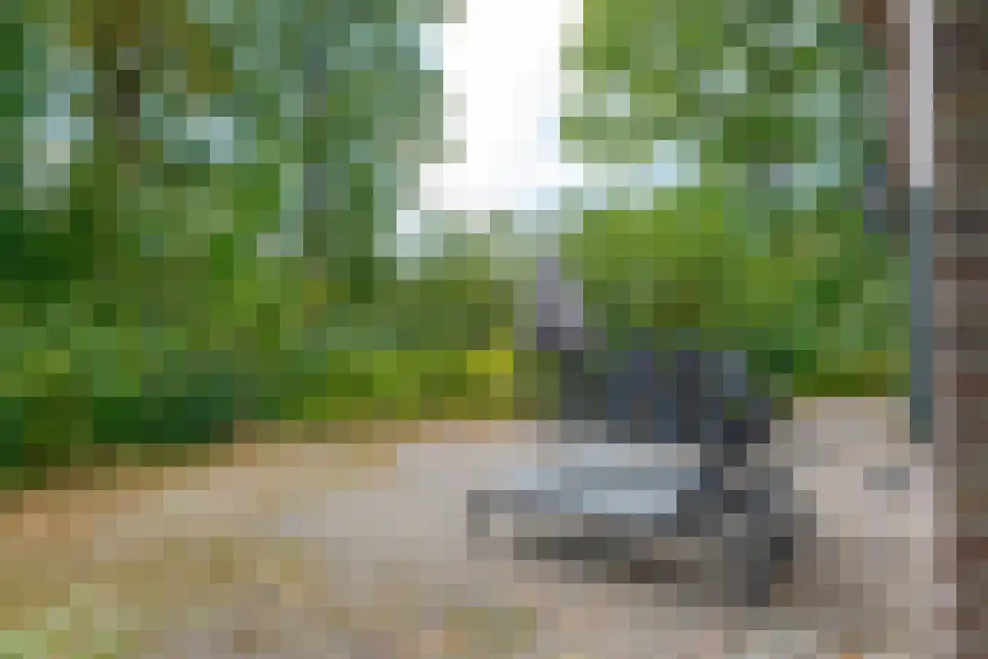 Buinerweg 8 253 Ees thumbnail 17