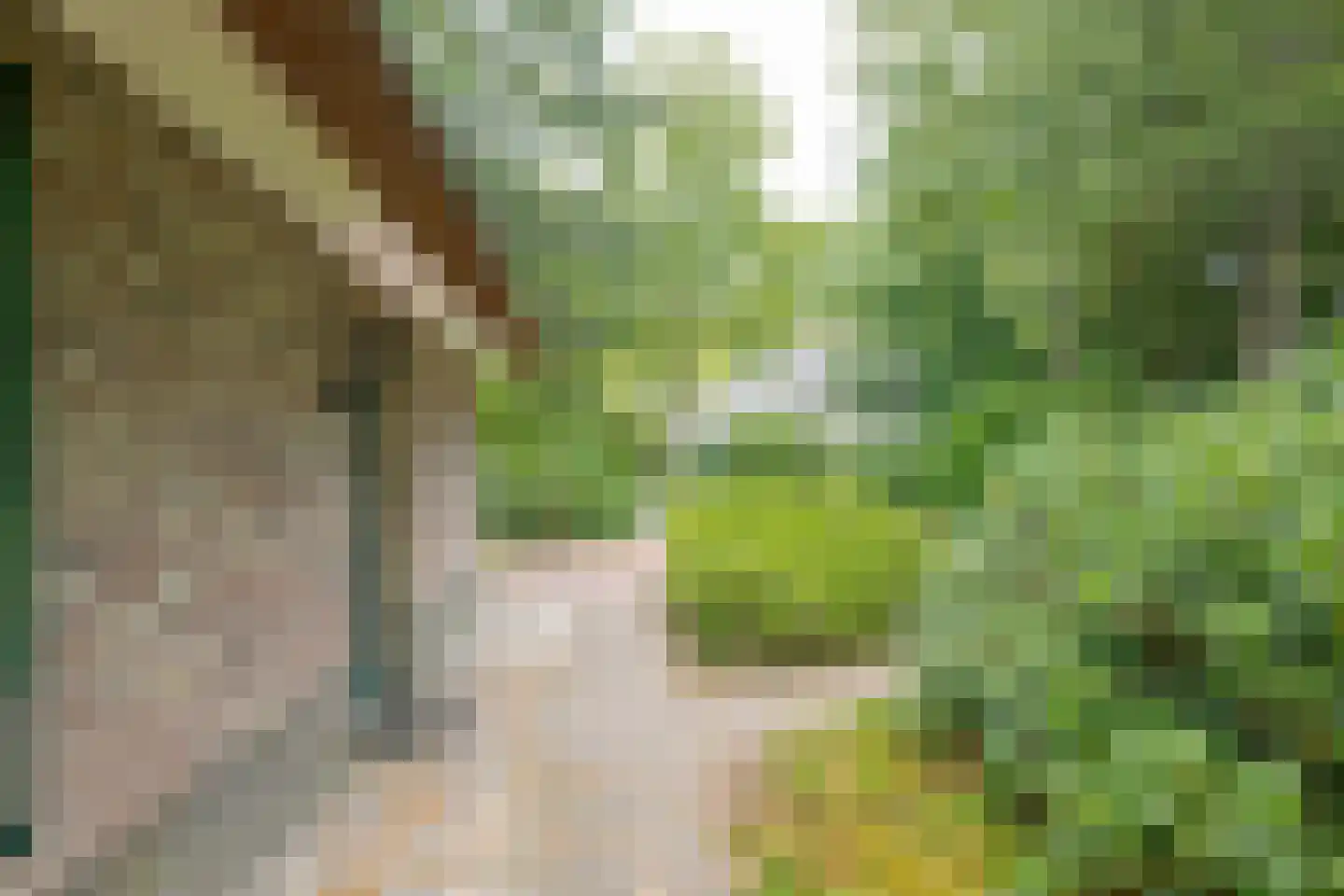 Buinerweg 8 253 Ees thumbnail 39